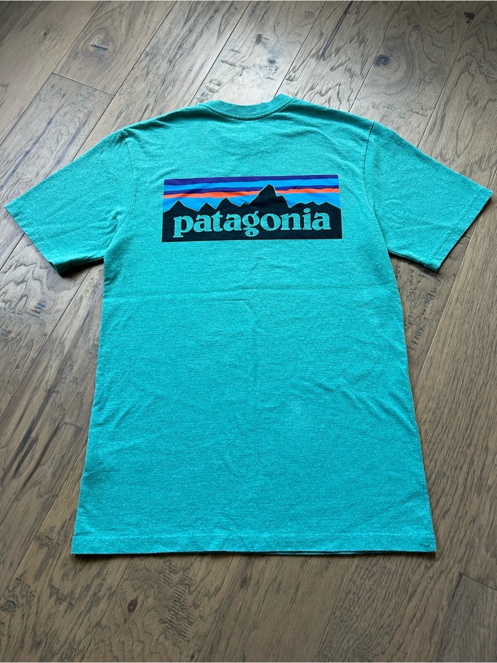 Patagonia Teal Short-Sleeve Logo Tee with Multicolor Mountain Graphic